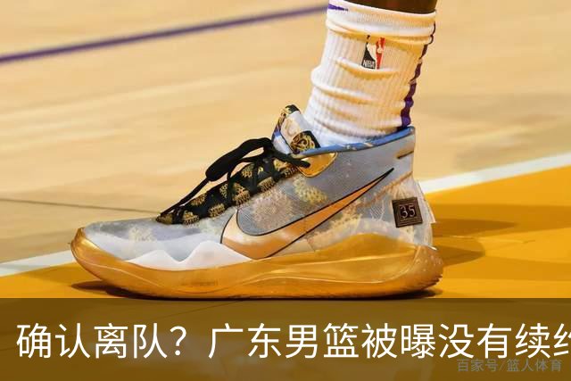 确认离队？广东男篮被曝没有续约杜锋，新主教练人选正式曝光！