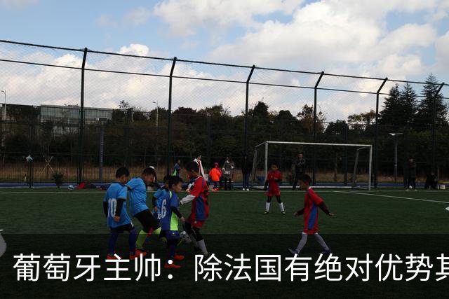 葡萄牙主帅：除法国有绝对优势其他都在毫厘之间 我们不是大热门